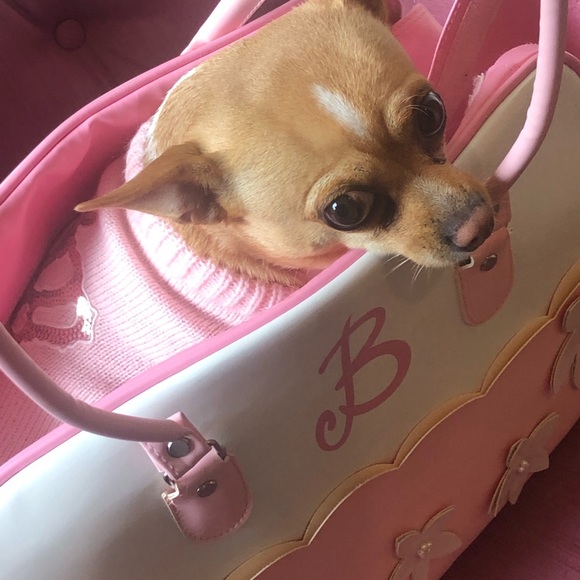 Authentic Barbie Small Dog Purse.Paris Hilton Inspired. Easy to Clean. - Picture 4 of 16